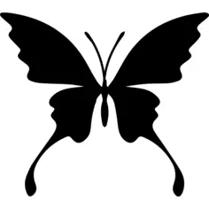 Butterfly silhouette