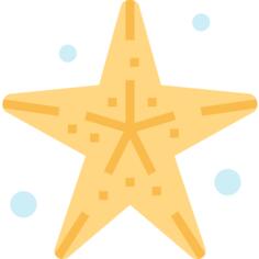 Starfish