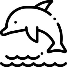 Dolphin