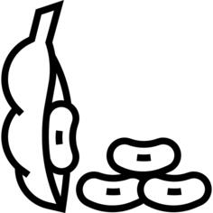 Soy