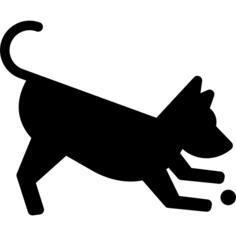 Dog Playing