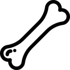 Bone