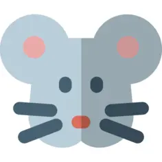 Rat