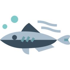 Mackerel