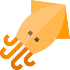 Squid