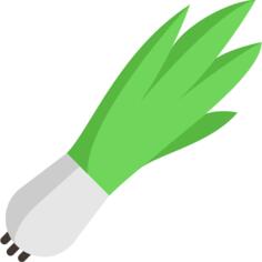 Onion