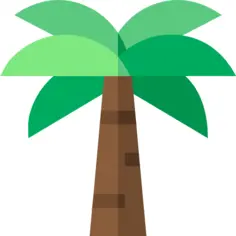 Palm tree