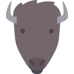 Bison