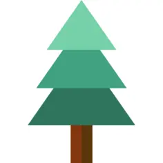 Pine