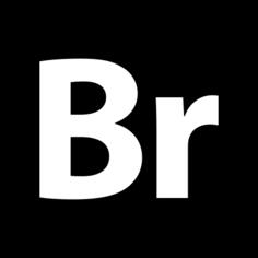 Adobe bridge