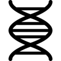 DNA deoxyribonucleic acid