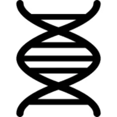 DNA deoxyribonucleic acid