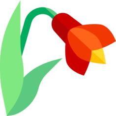 Amaryllis