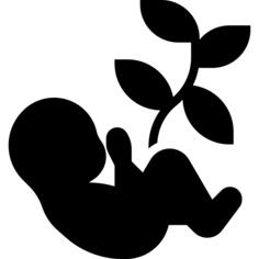 Embryo