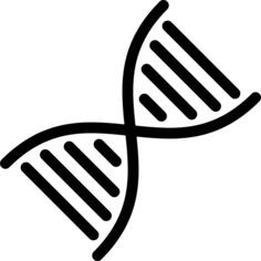 Dna