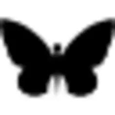 Butterfly shape top view