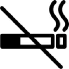 no smoking