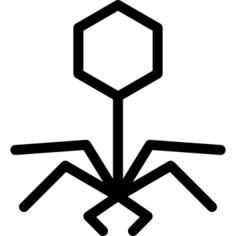 Virus