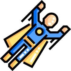 Fly