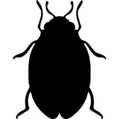 Insect bed bug shape