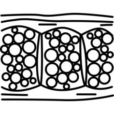 Cellulite