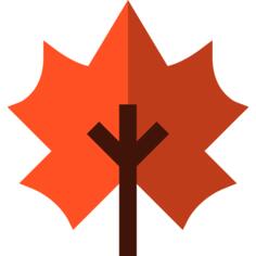 Maple leaf