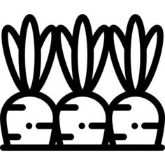Carrots