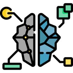 Brain