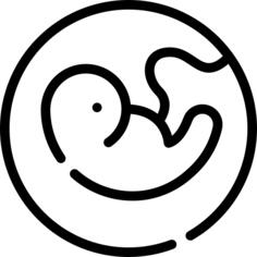 Pregnancy