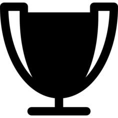 Winner champion trophy