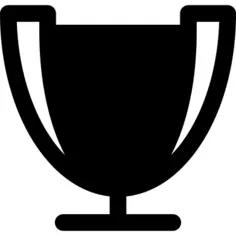 Winner champion trophy
