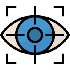 Vision