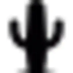 Desert cactus