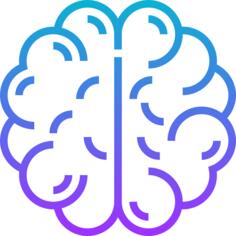 Brain