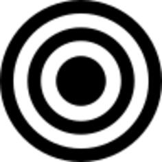 Target of concentric circles