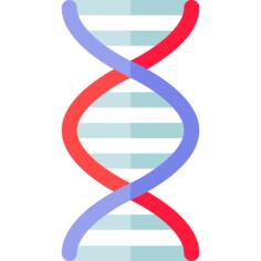 Dna
