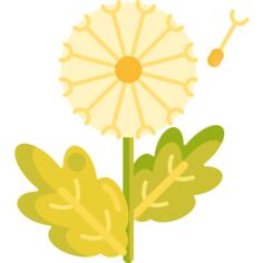 Dandelion