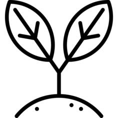 Growing Plant