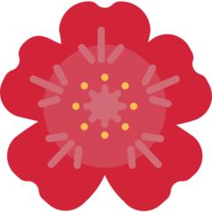 Geranium