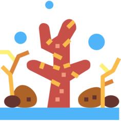 Coral