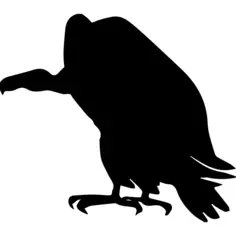 Vulture bird shape