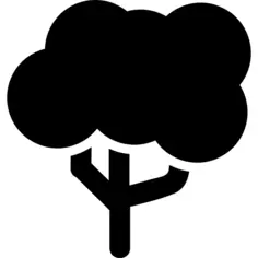 Tree of rounded big foliage