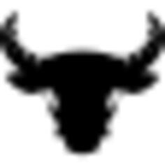 Taurus