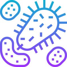 Bacteria
