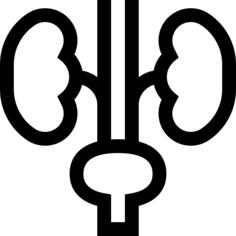 Urology