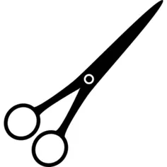 Scissors variant