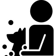 Washing the Dog