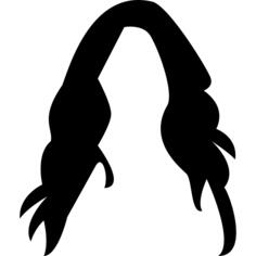 Female long dark hair wig