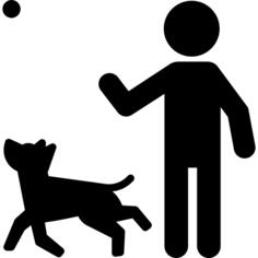 Dog Playing