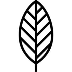 Leaf